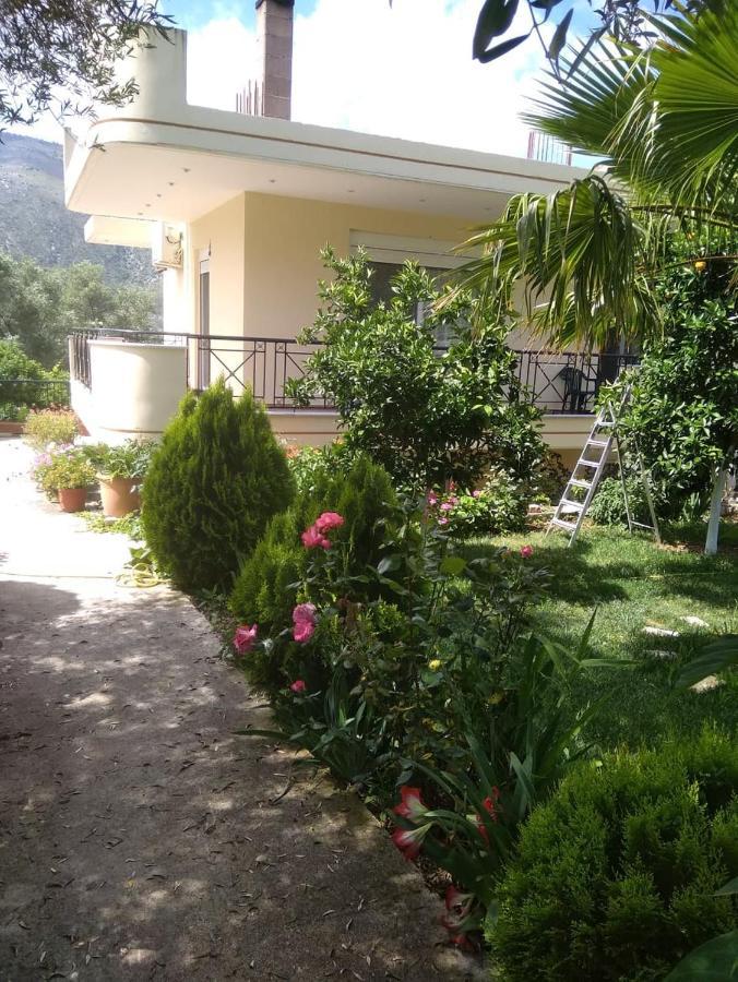 Ziogas Apartments Plataria Bagian luar foto