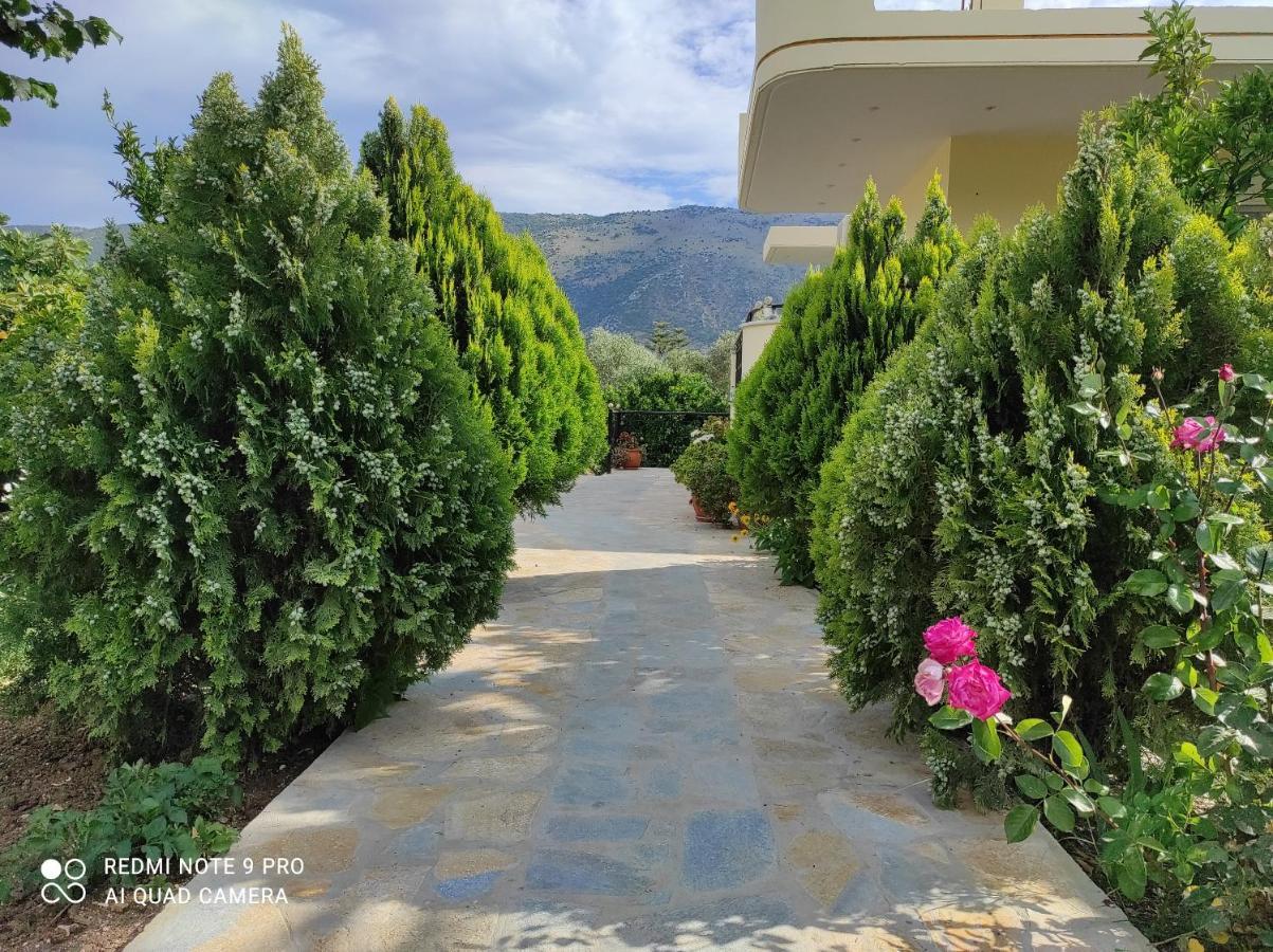 Ziogas Apartments Plataria Bagian luar foto